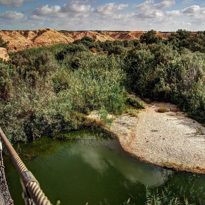 Late Pleistocene hydroclimatic change in the Negev Desert